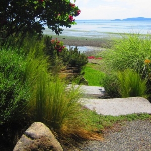 Photo of Green Garden Landscaping