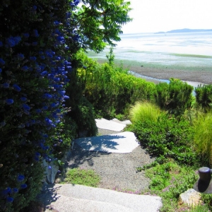 Photo of Green Garden Landscaping