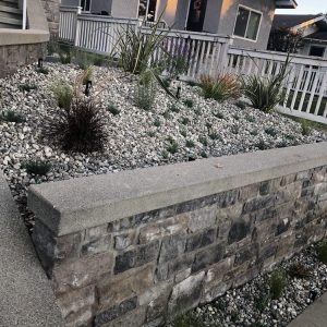 El Segundo Martin Landscaping