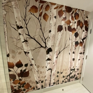Photo of Wallpaper Installation Studio