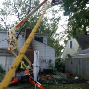 Photo of Triumph Landscaping, LLC