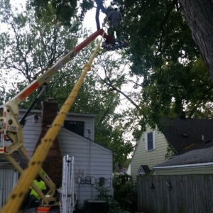 Photo of Triumph Landscaping, LLC