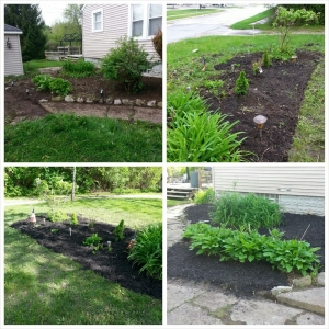 Photo of Triumph Landscaping, LLC