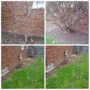 Photo of Triumph Landscaping, LLC