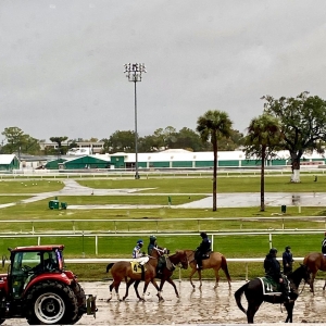 Photo of Fair Grounds Race Course & Slots