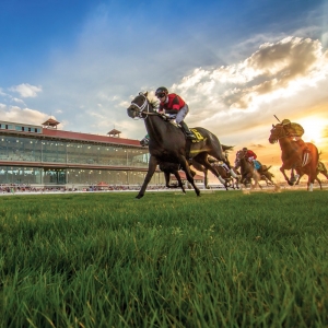 Photo of Fair Grounds Race Course & Slots