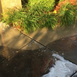 Photo of Richard's Pressure Washing