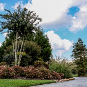 Photo of Outside the House