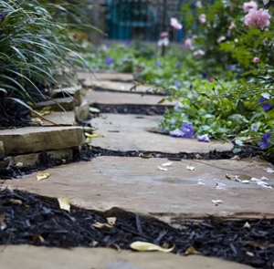 Photo of Vanice Lawn & Landscape