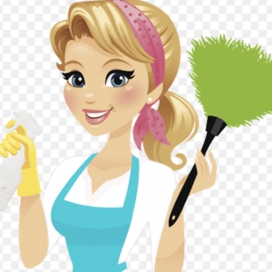 Irwin My Green Team Cleaning