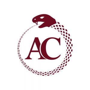 Photo of Alvizo Consulting