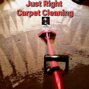 Photo of Just Right Carpet Cleaning of North Charleston