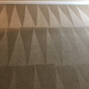 Photo of Yes Pet Friendly Carpet Cleaning Services