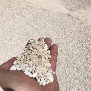 Photo of Overseas Hauling