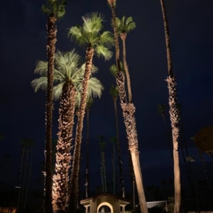 Photo of Horizon Lighting