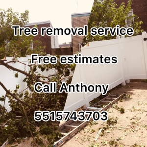 Photo of Anthony's A+ Handy Man Service