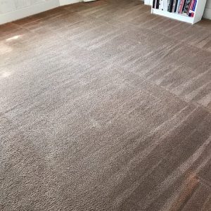 San Francisco Organic Steam Cleaning