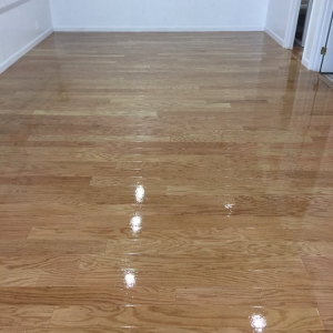 Photo of Rocky's Floor Co.