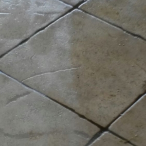 Photo of Green Dry Carpet Cleaning
