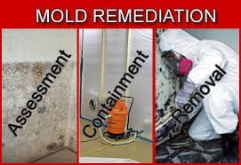 Photo of Mold Remedies