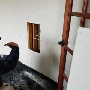 Photo of L S Custom Painting & Carpentry