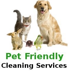 Photo of Shining Star Cleaning Service