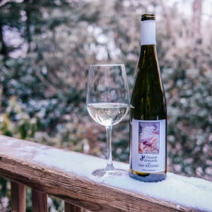 Photo of DavestÃ© Vineyards