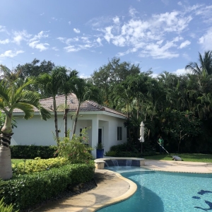 Photo of All Dade Tree Service