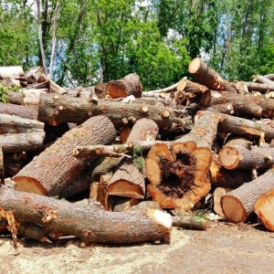 Photo of Landscape Express