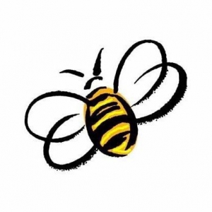 Photo of Bumble Bee Cleaning Service