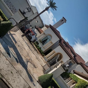 Photo of JLG Tree Services