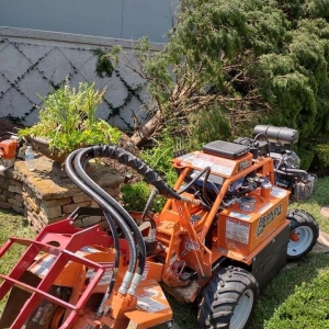 Photo of JLG Tree Services