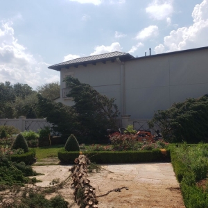 Photo of JLG Tree Services