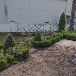 Photo of JLG Tree Services