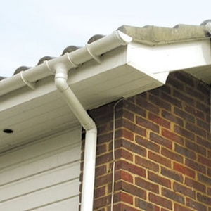 Photo of Gutter & Roof Maintenance
