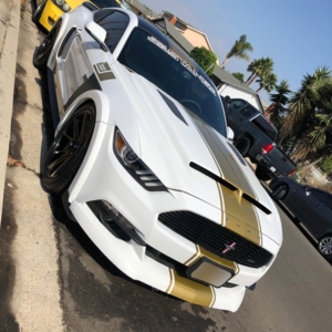 Photo of Superior Shine Mobile Detailing