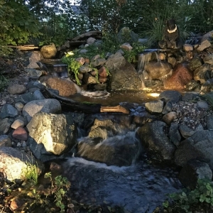 Photo of Night Gardens Landscape Lighting