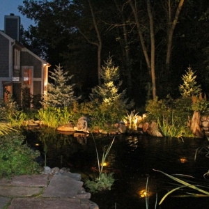 Photo of Night Gardens Landscape Lighting