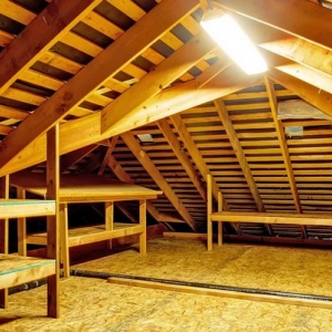 Photo of Attic Leader