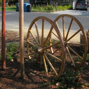 Photo of Hortus Design Sustainable Landscapes