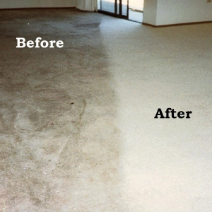 Photo of Omega cleaning services