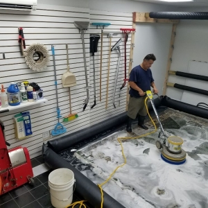 Photo of CIC Carpet & Upholstery Cleaning