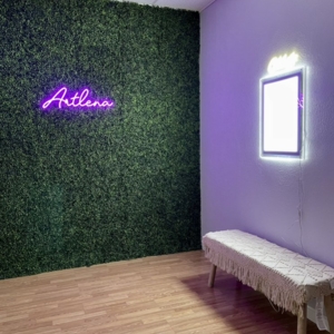 El Paso Artlena Party Room