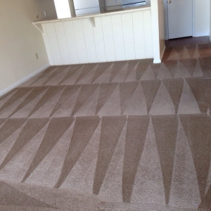 Houston DM Carpet Cleaning