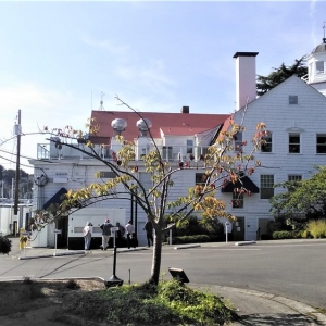 Photo of Seattle Yacht Club