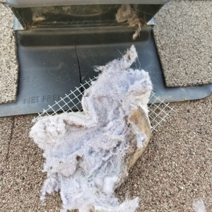 Photo of Clean N Dry Air duct & Dryer Vent Cleaning