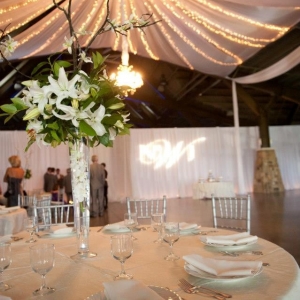 Photo of Toni Lynel Events
