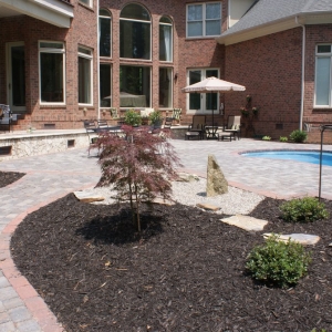 Photo of Distinctive Naturescapes
