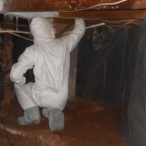 Photo of Phillips Restoration Services