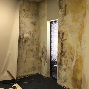Photo of Phillips Restoration Services